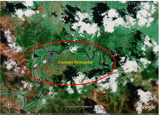 Figura 2: imagem de satélite mostrando a fazenda motogeral. 
