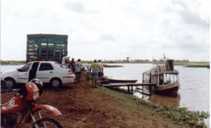 Figura  4  -  Tipos  de  transporte  utilizado  para  acesso  à  fazenda,  localizados em áreas de várzeas da região Amazônica