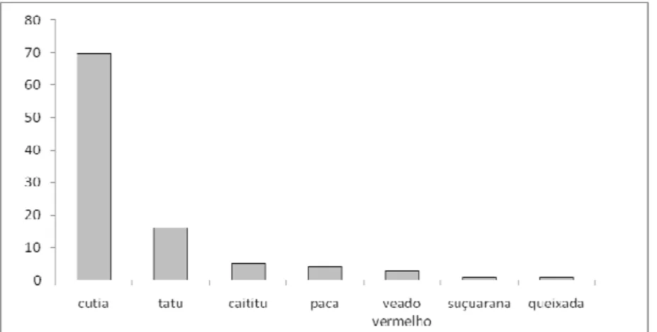 Figura 11: Abundância relativa dos animais registrados em Aminã durante  o ano de 2007