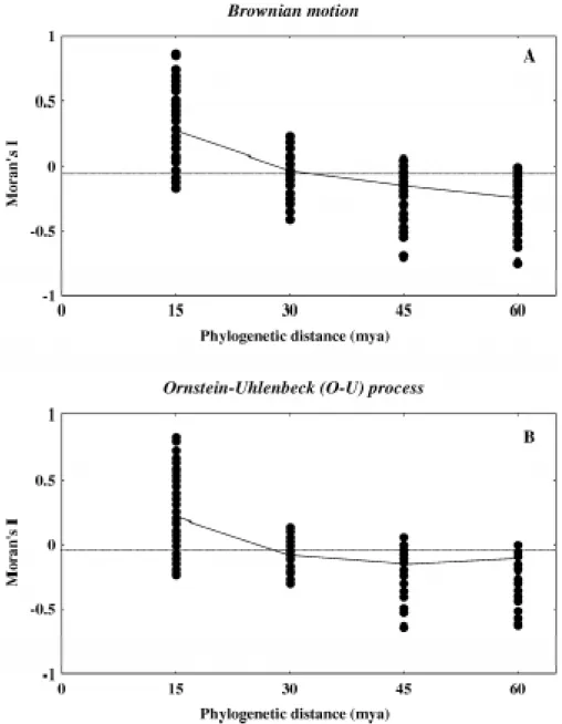 Figure 3 - Phylogenetic correlograms obtained by simulations of Brownian motion (A) and Ornstein-Uhlenbeck (O-U) (B) processes, on the phylogeny of 19 species of South American owls