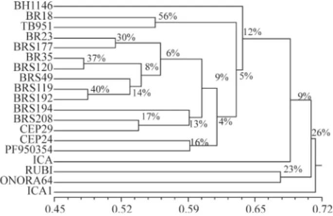 Figure 3 - Combined morphological character and amplified fragment length polymorphism (AFLP) marker unweighted pair group method with arithmetic means (UPGMA) dendrogram resulting from the analysis of 19 wheat genotypes using the complement of the similar