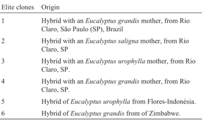 Table 1 - Relation of elite Eucalyptus clones used in the crossings with Eucalyptus globulus.