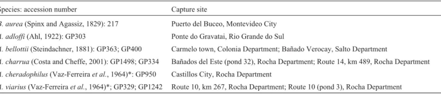 Table 1 - Capture sites of the Austrolebias (A) and Brevoortia (B) specimens analyzed by us