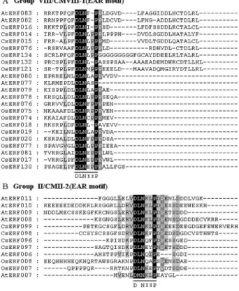 Figure 3 - The EAR motif-like sequences conserved in group VIII and II ERF proteins. (A) Sequence alignment of C-terminal regions in group VIII proteins