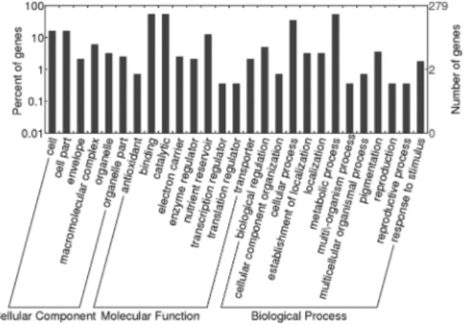 Figure 5 - Hydropathic analysis of all proteins identified by 2-DE. Nega- Nega-tive and posiNega-tive GRAVY values indicate hydrophilic and hydrophobic proteins, respectively.