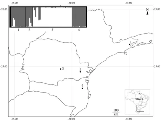 Figure 1 - Geographic location of Plebeia remota populations and graphic display of the Structure results