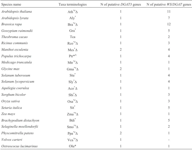 Table 1 - Number of putative DGAT3 and WS/DGAT sequences retrieved in this study and identification of species used for the phylogenetic and exon-intron structure comparative analyses.