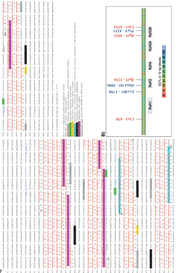 Figure 1 - The Rhynchosciara americana histone genes. A) Repeat unit sequence, highlighted are putative control elements