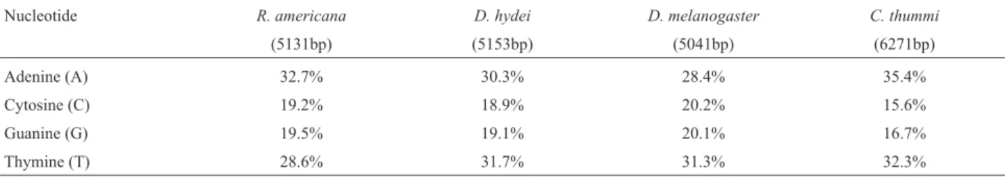 Table 1 - Nucleotide frequencies of histone repeat unit of R. americana, D. hydei, D. melanogaster (L unit) and C