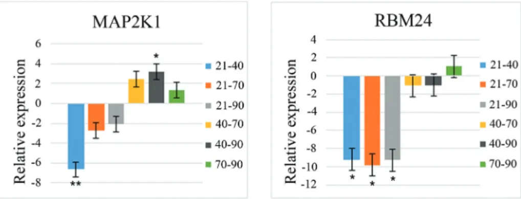 Table 3 - P-values for ANOVA in relation to Breed, Period and interaction Breed x Period for the genes studied.