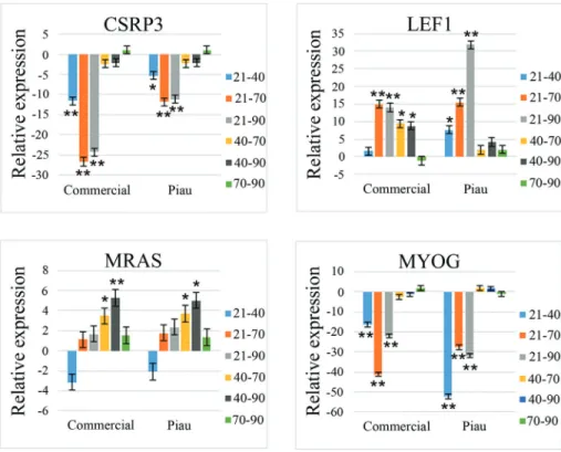 Figure 3 - Relative expression for four genes (CSRP3, LEF1, MRAS and MYOG) in pair-wise comparisons of prenatal ages (21, 40, 70 and 90 days post-insemination) in commercial and Piau pigs