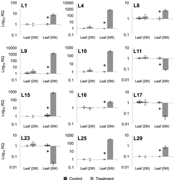 Figure 3 - RT-qPCR analysis of selected leaf transcripts. Expression is shown for the 12 transcripts that were validated by RT-qPCR