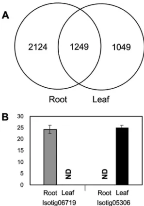 Figure 4 - Root or leaf specific candidate genes identified in response to drought stress in the wheat cultivar MGS1 Aliança