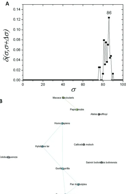 Figure 5 - Complex networks analysis. (A) Graph showing the d -distance between networks formed by the apo E sequences from primates with s cst =86%