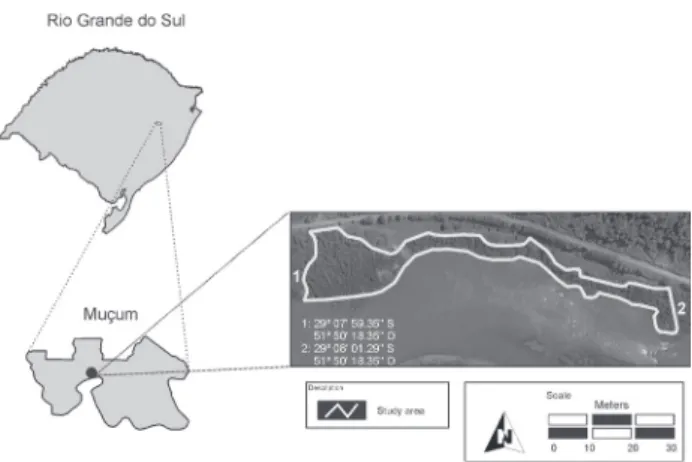 Figure 1. Location of the study area in the municipality of Muçum,  State of Rio Grande do Sul, Brazil.