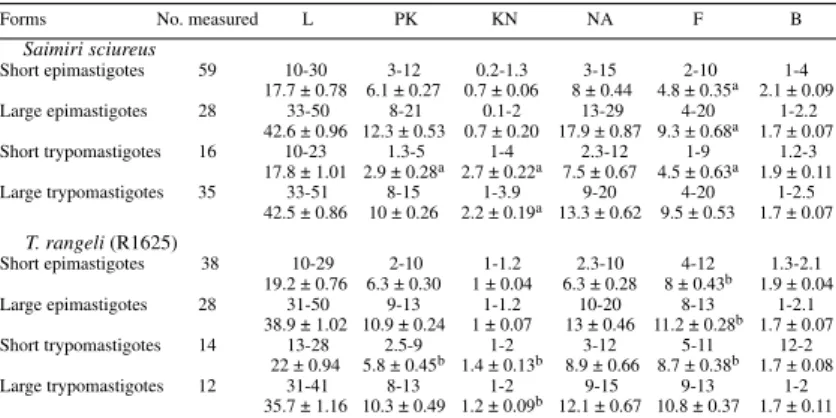 Fig. 4: forms found in haemoculture. a: Trypanosoma rangeli R1625; b: parasites isolated from a naturally infected squirrel mon- mon-key, Saimiri sciureus from Balbina, with parasitemia by trypanosomes similar to T