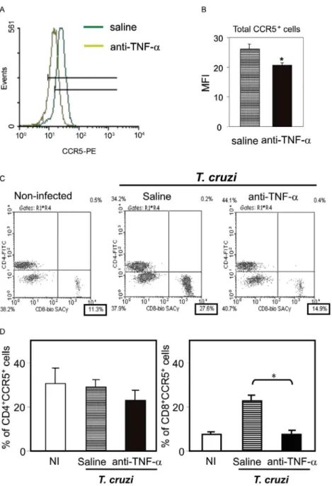 Fig. 4: modulation of TNF-α results in decreased expression of CCR5 by CD8+ cells in T