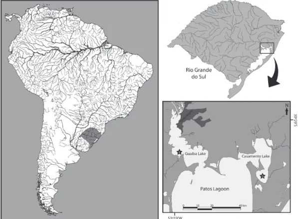 Fig. 1. Sampling locations in a. Guaíba Lake and b. Casamento Lake in Rio Grande do Sul, southern Brazil.