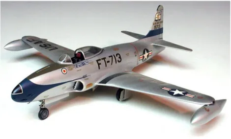Figura 2.5  –  Aeronave P-80. (Fonte: Site Fiddlers Green, 2017 4 ) 