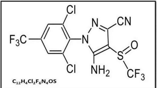 Figura 1. Fórmula química e estrutural do inseticida FP. Fonte: ANVISA, 2005 
