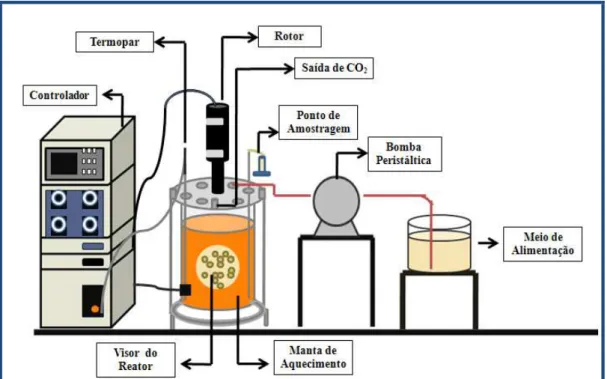 Figura 3.1 – Representação esquemática da unidade de trabalho (batelada alimentada) 