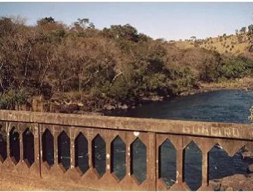 Foto 26 - Mata ciliar e afloramento rochoso. Vista a partir da ponte do Pau Furado.  