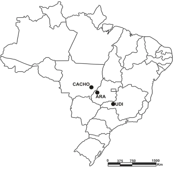 Figura  1.  Mapa  mostrando  a  localização  das  três  áreas  de  estudo:  Aragarças/GO  (ARA)  e  Cachoeira da Fumaça/MT (CACHO) e Uberlândia/MG (UDI)