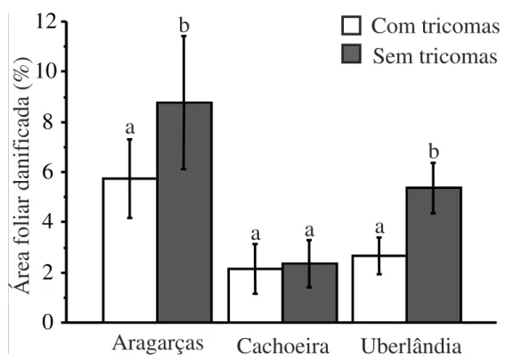 Figura  2.  Herbivoria  foliar  média  de  populações  de  T.  guianensis  com  e  sem  presença  de  tricomas