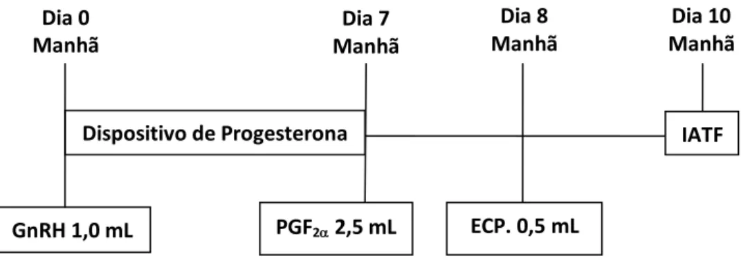 Figura 1: Representação esquemática do protocolo utilizado (dispositivo intravaginal  contendo  1,9g  de  progesterona,  CIDR ® ,  Pfizer;  Gonadorelina,  Fertagyl ® ,  MSD;  Dinoprost-Trometamina,  Lutalyse ® ,  Pfizer;  Cipionato  de  Estradiol,  ECP