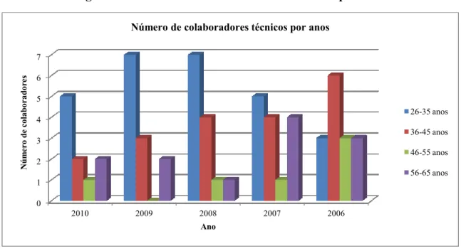 Figura 6. 1. - Número de colaboradores técnicos por anos 