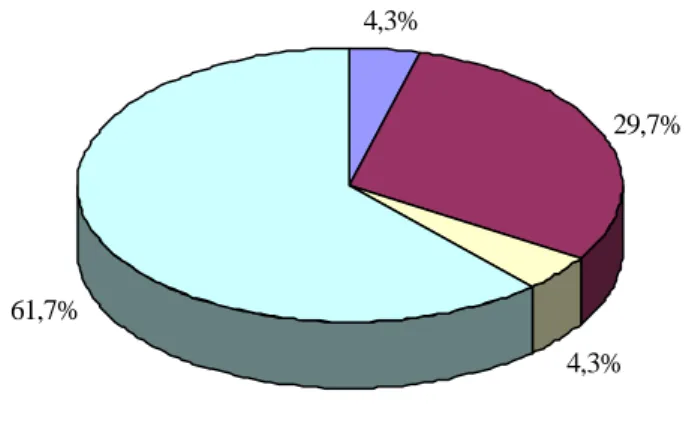 Gráfico 1: Distribuição dos Idosos por Estado Civil