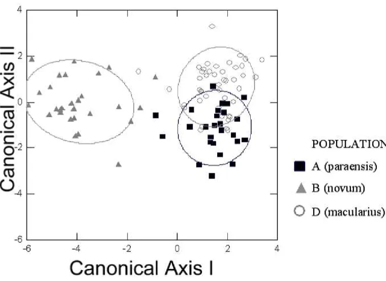 Figure 5. Graphical representation of scores of the first two axes of the Discriminant  Functions Analysis performed with vocal characters for the four populations