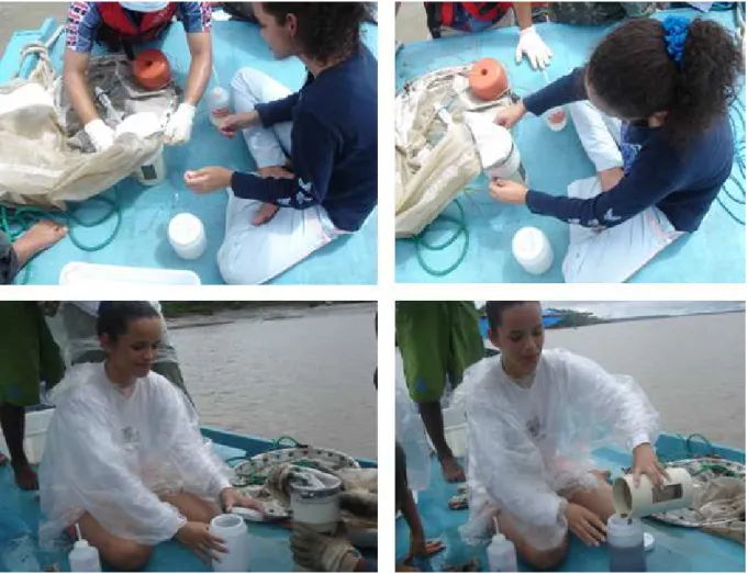 FIGURA  6:  Exemplo  dos  procedimentos  de  acondicionamento  e  fixação  das  amostras  de  zooplâncton  coletadas no estuário do Rio Marapanim (PA), no período de agosto de 2006 a julho de 2007