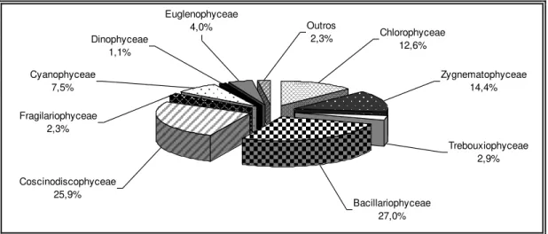 Figura 09  –  Distribuição percentual das classes do microfitoplâncton identificado na região da foz do rio  Guamá (Belém-PA), no período de março a dezembro de 2005