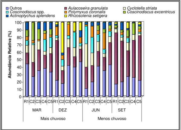 Figura  10  –   Abundância  relativa  das  espécies  do  microfitoplâncton  identificado  na  foz  do  rio  Guamá  (Belém/Pará), no período de março a dezembro de 2005