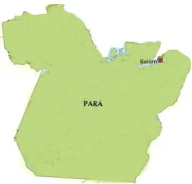 Figura 1  –  Mapa do Estado do Pará com destaque para a cidade de Belém. 