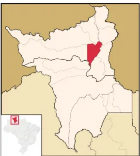 Figura 2  –  Mapa de Roraima com destaque para acidade de Boa Vista. 