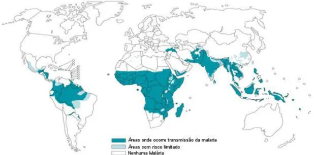 Figura 1: Distribuição global do risco de transmissão da malária, 2006  Fonte: WHO, 2007