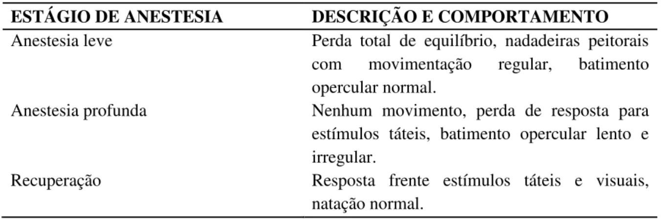 Tabela  1  -  Tempos  de  anestesia  e  recuperação  anestésicas  utilizados  no  presente  trabalho