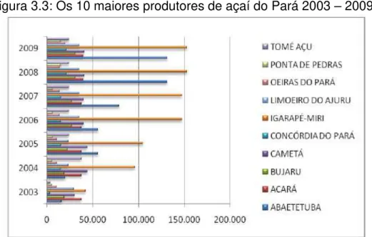 Figura 3.3: Os 10 maiores produtores de açaí do Pará 2003 – 2009. 