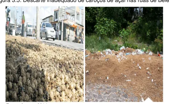 Figura 3.5: Descarte inadequado de caroços de açaí nas ruas de Belém 