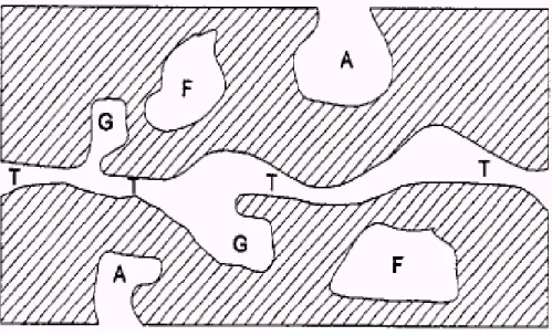 Figura  3.6:  Esquema  apresentando  os  diferentes  tipos  de  poros  em  um  sólido  quanto  à  forma:  (T)  poro  de  transporte,  (A)  poro  aberto,  (F)  poro  fechado e (G) poro tipo gaiola
