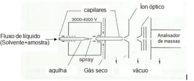 Figura 4 -Representação esquemática da fonte de ionização por nebulização eletrônica  Fonte: HESSE, 2008 