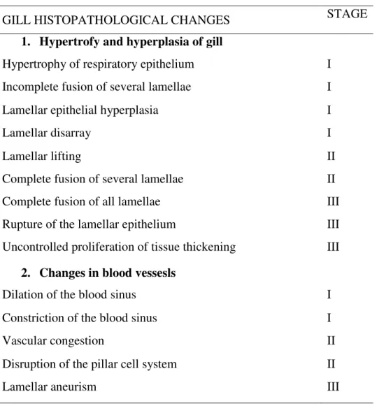 Table  3.  Total  number  of  different  types  of  histopathological  lesions  observed  in  the  species P