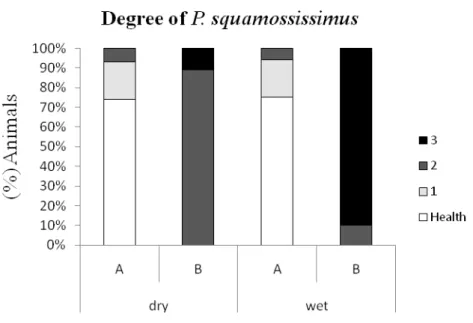 Fig 5. Percentage of altered animals from sites A and B in rainy and dry season. 
