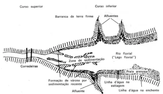 Figura  2.20:  Esquema  da  morfologia dos  leitos fluviais  de  rios  de  água  clara  e  de  água preta da Amazônia Central SIOLI, (1991)