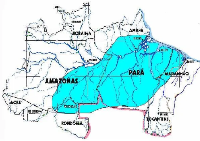 Figura 1: Mapa da Amazônia Oriental.