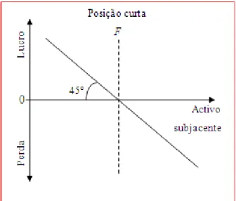 Figura 5.2 – Posição longa e curta num contrato forward 