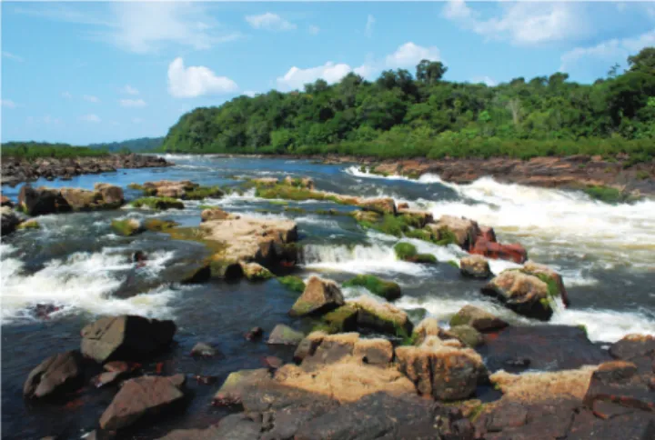 Fig. 5. Typical habitat of Tometes camunani, rapids and waterfalls in rio Trombetas basin, Pará, Brazil
