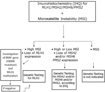 Figure 3 - Flowchart illustrating the strategy utilized for genetic testing of patients at risk for Lynch Syndrome (flowchart adapted from Hampel et al., 2008).
